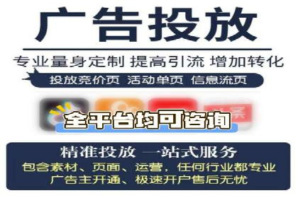 某电商平台的SEM推广实战经验